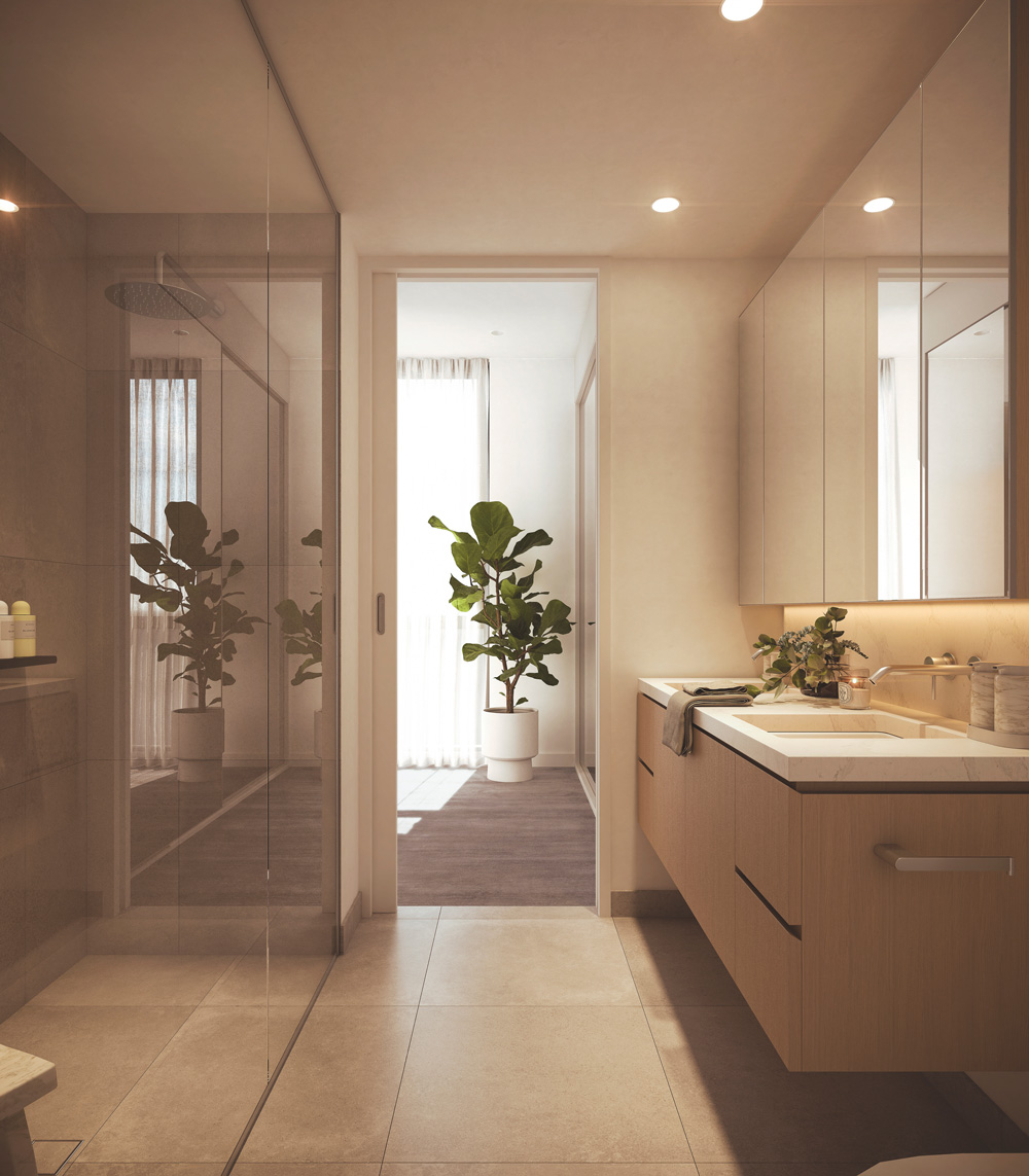   Highett Common habitat