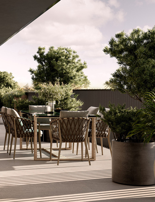   Highett Common habitat