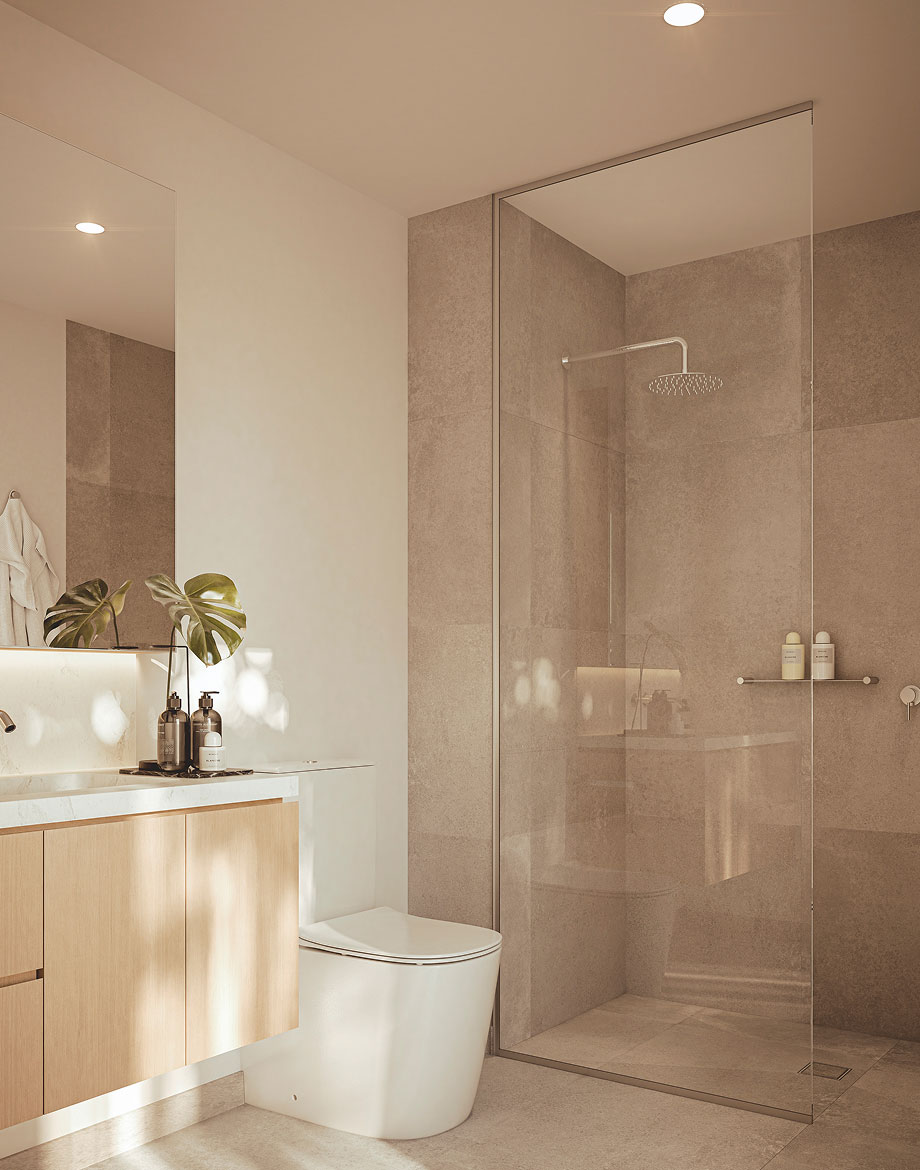   Highett Common mewscollection